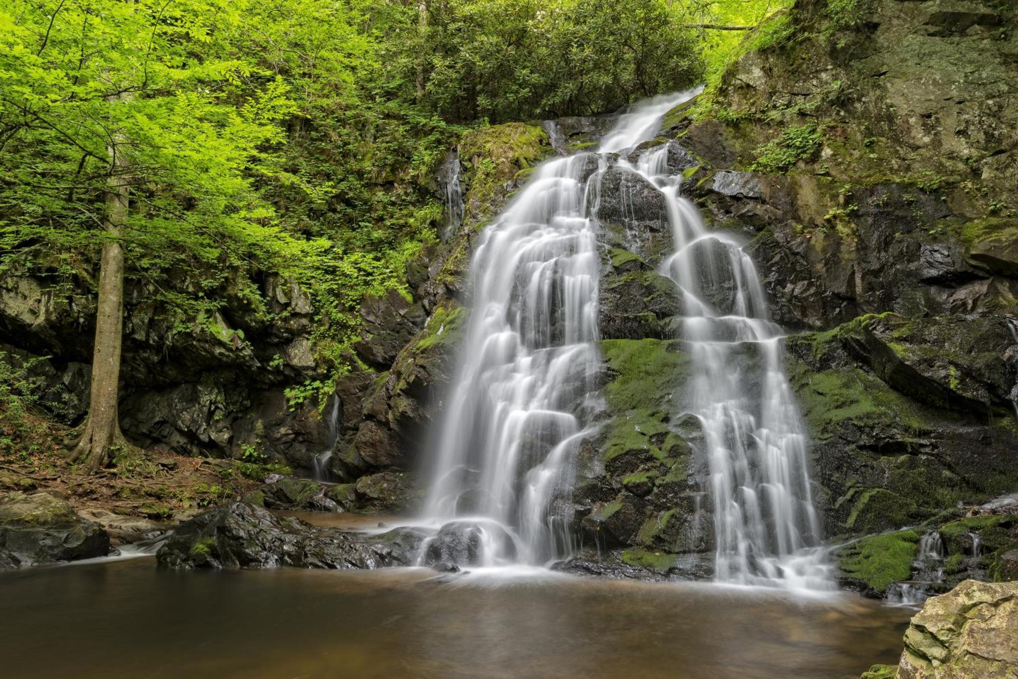 Smoky Mountain Serenity, Amazing Mountain Views 1089 Free Tickets Each Paid Day, Dollywood And More Sevierville Buitenkant foto