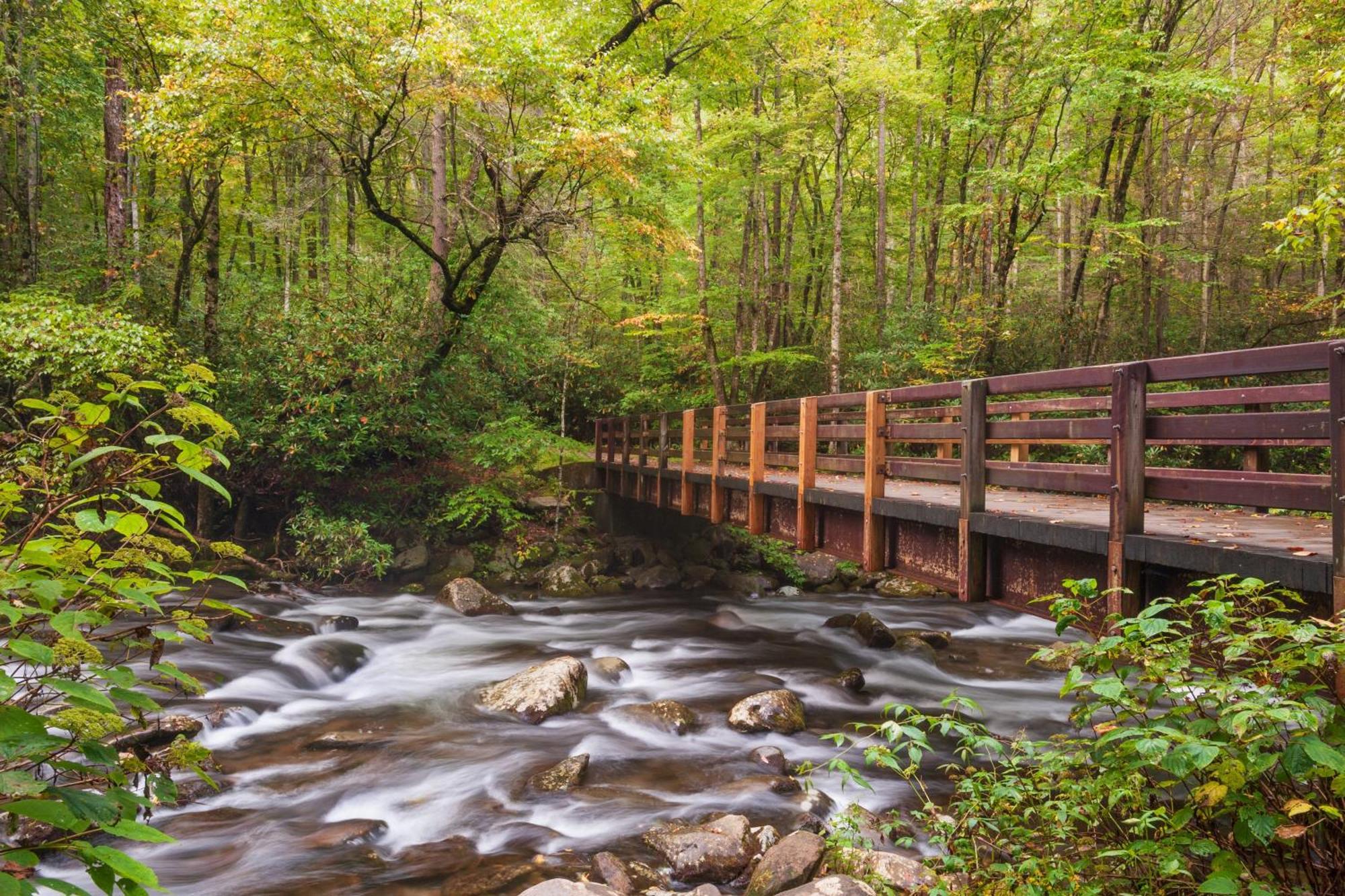 Smoky Mountain Serenity, Amazing Mountain Views 1089 Free Tickets Each Paid Day, Dollywood And More Sevierville Buitenkant foto